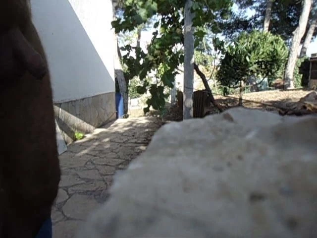 yo y la mosca
