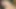 Seksi esmer kızlar birbirlerini parmaklıyor