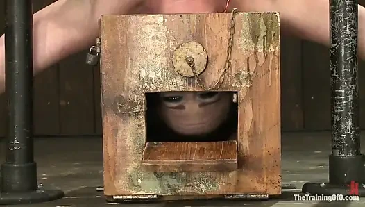 Orlando'dan bazı yardımlarla Sophie Monroe 4. gün dayanıklılık ve çıkmaz testi