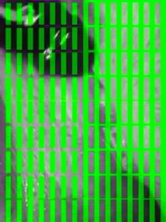 Mexican fışkırtma bölüm 2