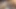 Zenci orta yaşlı seksi kadın sabah sessiz fışkırtarak orgazm oluyor