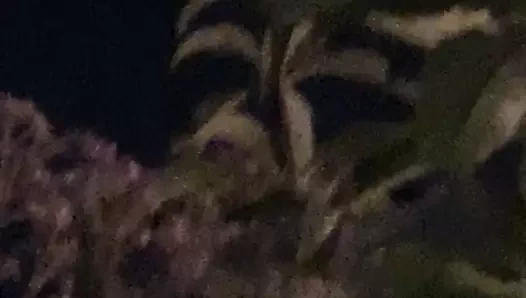 karısı açık havada