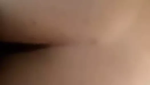 Lintonninja sonic kirpi prezervatif yakalama 1.