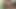 Debutante bebek buttfucked ve analcreampied