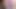 Madison kocian döl haraç