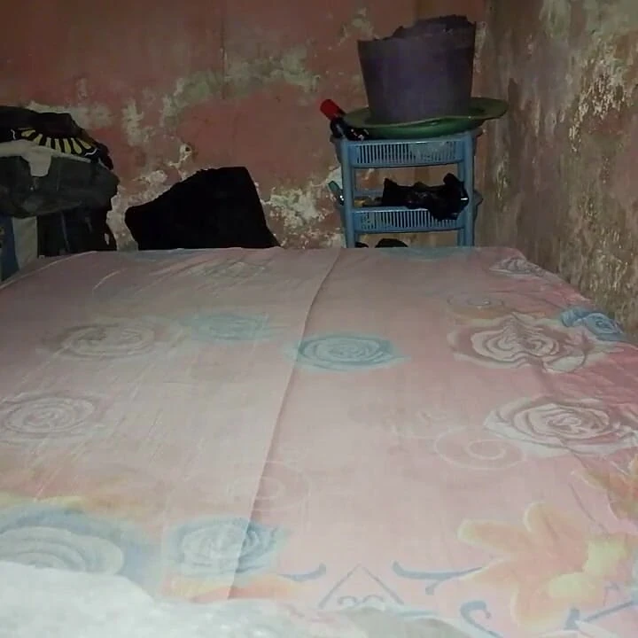 Boşalana kadar rustik yatağımı sikiyorum
