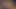 Solazola ile sabah azdırarak öğleden sonraya döl yutuyor