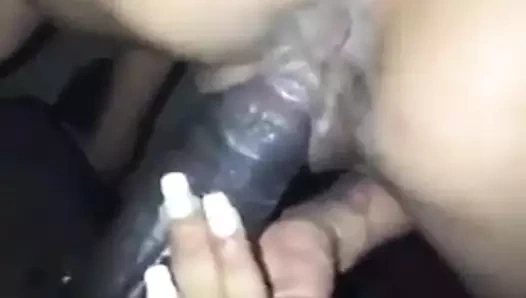 Siyah kedi sert kahrolası