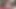Diverse Amateur Compilation: Oral and Penetrative Adventures