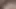 Azgın Arap orta yaşlı seksi kadın 20 yaşındaki kıllı erkek arkadaşının götünü sikiyor