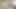 devriyede sapıklar - tuğla tehlike katana kombat - kedi