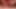 İnleyen ve mutlu yüze sahip dildo ile en iyi orgazmlar