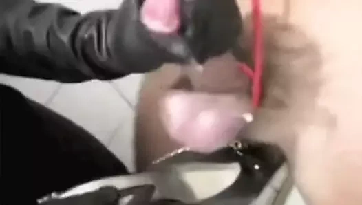 Içerde kaltak sekseldivenliiteen