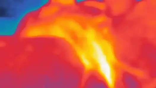 Bazı flört eylemleri