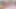 Slutinspection - İngiliz orta yaşlı seksi kadın Jasmine Jae kocamı kişisel sikiş oyuncağı olarak kullanıyor