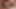 Siyah porno pradah g sürmek bbc ve sikikleri sert