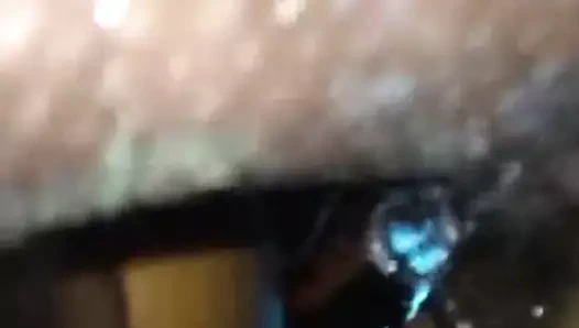 Sevimli kız kedi kahrolası