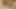 Hizmetçimin çok seksi bir vücudu var ve büyük yarağımı istiyor