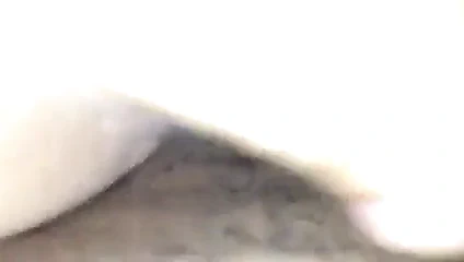 papatya sürme benim horoz