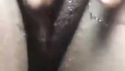 Waththala gon baduwa priya