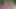 Angelina castro, lexxxi lockhart - dildo beceriyor dolgunlaştırıcılar