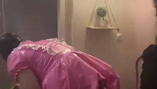 Дисциплина Хозяйство