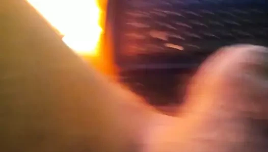 Bacağıma 31 çektirme