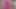 amatör 9 inç yapay penis ve g-spot vibratör yukarı yakın