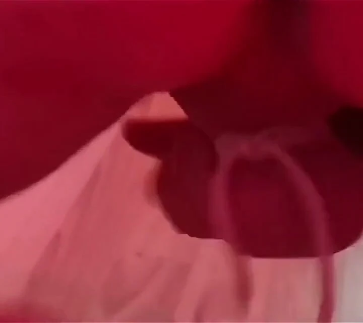 Hard Caning and Anal