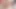 Düz göğüslü travesti Marcela Ragonne boşalmaya susamış