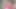 On Rakshabandhan, the step sister gave her step brother a chance to fuck her as a gift, janvibhabhi sex with step brother