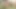 Büyük ganimet aurora ivy içinde seksi birlik Başlarken bbc