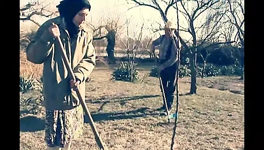 Old Man Couple with Farm Fuck and Cumshot on Hairy Pussy