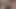 Halley Hill şehvetli bir kolej oral seksi için büyük sert bir yarağı kırbaçlıyor