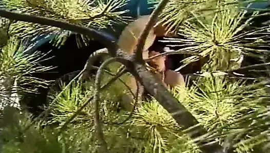 Porno kralları ve kraliçeleri - eski meydan okuma vol. 213