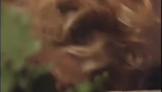 Un mec tatoué à grosse bite adore la chatte