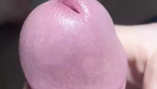 Mantar çük portre.