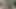 Kız öğrenci yurdu oyun arkadaşı tanrıçalar birlikte çıplak olsun
