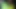 ceket
