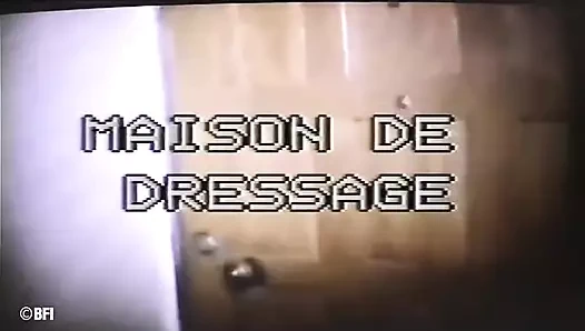 Acı serisi 017 - olgun sürtükler dildoyla amcıklarını sikerken bağlı ve işkence ediliyor