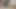 Şınavlar bu vahşi striptiz oyununda güçlerini test ediyor