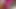 Bir akşam için fuchsia uçuş görevlisi kıyafeti içinde