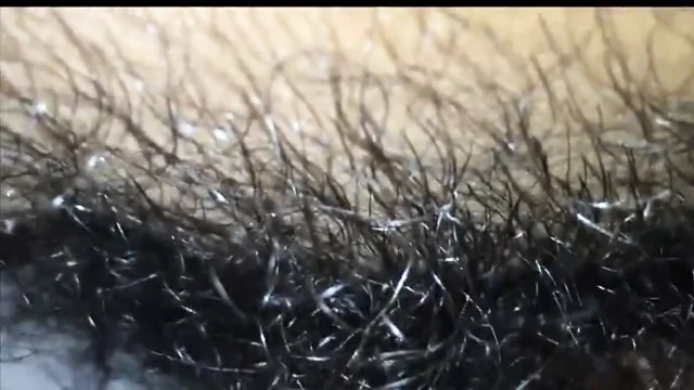 Tüylü am ve büyük penis pornosu