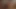 Siyah4k. güzel beyaz civciv gelecekteki siyah piçle buluşuyor