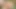 BBW Step Mom Blowjob and Fucking Black Cock