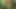 Connivingrat 3d porno hentai derlemesi 19