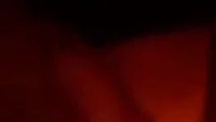 İlk video ile vibratör içinde kedi