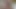 Porno yıldızı Natasha Pink'in disiplinli göt eylemi