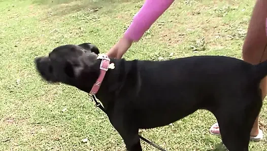 Seksi ve güzel lezbiyenler bacaklarını açıyor ve azgın parmaklıyor ve dildo sikişiyor