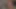 Shemales sikme çocuklar pmv